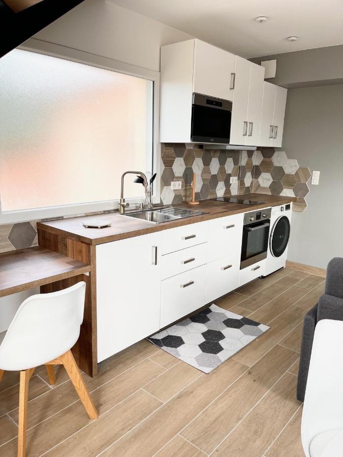 Ternay La Parenthese Balneo T2 Cosy De 40M² Avec Terrasse公寓 外观 照片